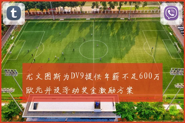 尤文图斯为DV9提供年薪不足600万欧元并设浮动奖金激励方案